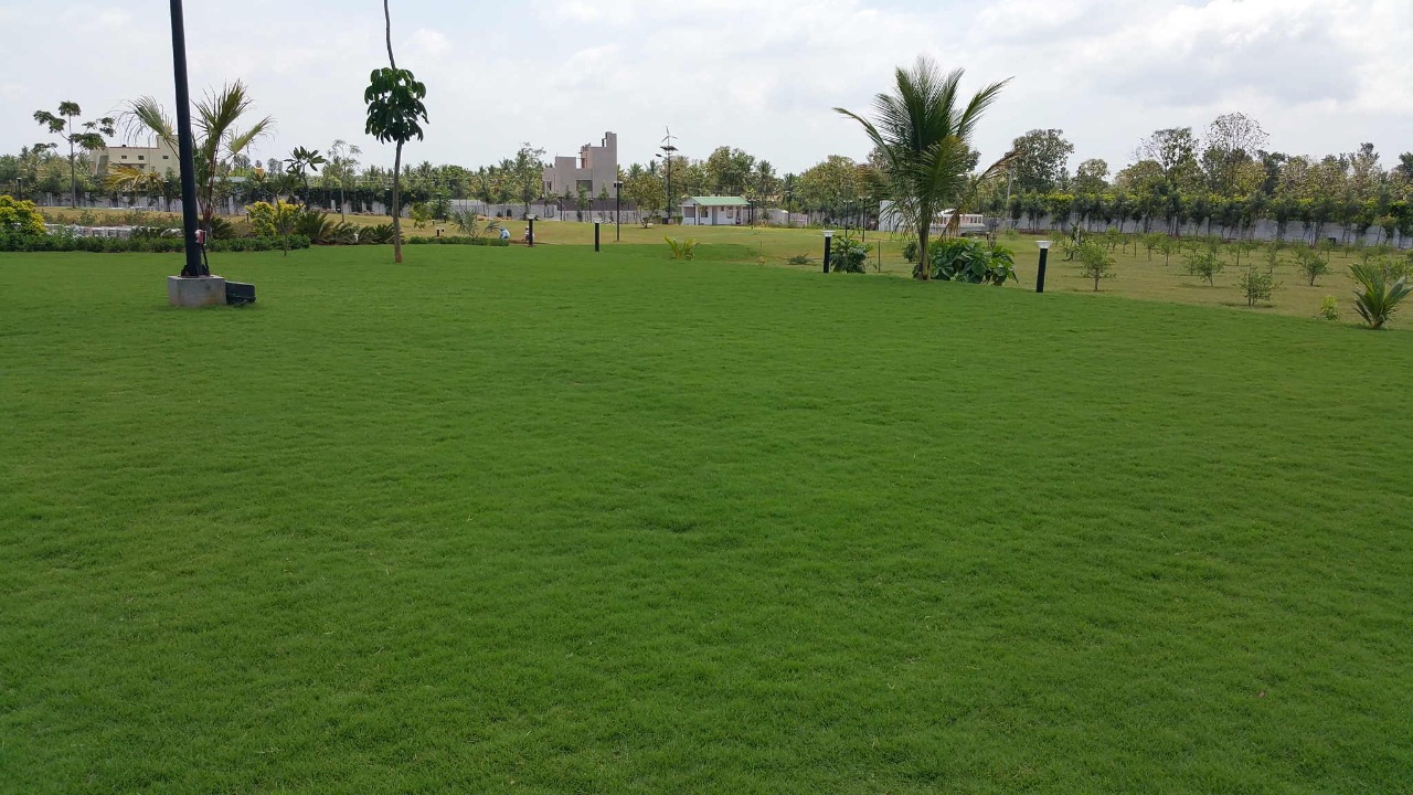 Lokish Garden